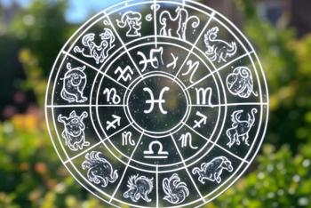 무료 오늘의 운세 서비스 - 나의 운세를 손쉽게 확인하세요!